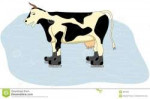 cow-ice-8057087.jpg