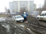 taksiomsk.jpg