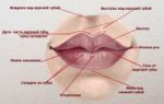 lips-build.jpg