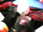 8 plush bunny.mp4