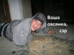 Ваша овсянка сэр!.jpg