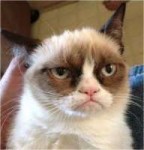 grumpy-cat-1.jpg