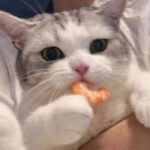 W23tyfqPtYjHEn3UnWs1U6Kle8yBm74GiHyaLRjQ1mKbJ91xjhbf8fLXyYt[...].jpg
