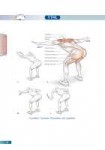 Bodyweight-strength-training-anatomy-your-illustrated-guide[...].jpg