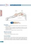 Bodyweight-strength-training-anatomy-your-illustrated-guide[...].jpg