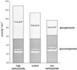 gluconeogenesiscomparison.gif