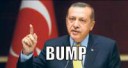 bumperdogan.JPG