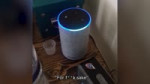 Amazon Alexa Cant Understand Scottish Accent.mp4