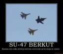 su-47-berkut-su-47-berkut-plane-commies-ussr-russia-demotiv[...]