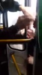 avtobus.webm