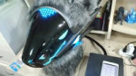 protogen murrsuit.webm