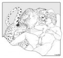 1455801183.p-sebaecheetahhumancouplesmall.png