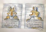 coy1503762861.schmozycoyote-mugshot