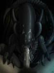 2206922 - Alien Netherwulf Xenomorph.jpeg