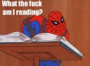 a7a9fORIG-spidermanwtfamireading.jpg