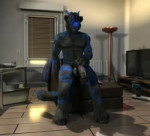 furry2.webm