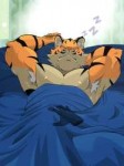 catsTiggon-Should-I-wake-the-tiger.jpeg