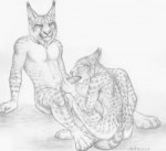 catsLynx X Bobcat DOUBLE RES.jpg