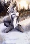 1404139462.spaceweasel2306wolf.jpg