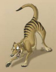 feral1580659979.tanidarealthylacine-thursday.jpg