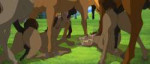 feral3860910Nextimestallionsxtwinfoals.png