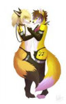 1396890911.niraihioshirufoxes.png