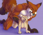 fox1556572623.marjanidash007werefoxcommfinalsmall.png