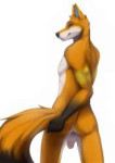 foxtumblrnanst6A0lV1rmajemo11280.jpg