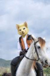 jc-horse-rider.jpg