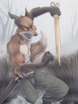 medievalWoadedfox-Furrow.jpeg