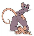 rat6.png