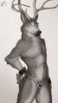 cboyMaskedHusky-Jayne-Doe-Pinup-Thingy.png