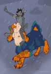 taur1495460609.nodinrainy.jpeg