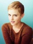 b3036ebb36710dd57261c9ce6382881d--short-haircuts-pixie-hair[...]