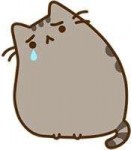 612fe086424eb5ff180df4feb877deec--okay-okay-pusheen-cat.jpg