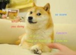 doge.jpg