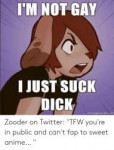 im-not-gay-i-just-suck-dick-memegenerter-net-zooder-53428906.png