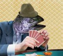 pokerbeginner.jpg