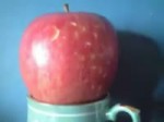 Bad Apple (на яблоках).webm