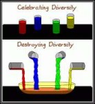 diversity