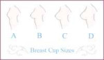 breast-cup-sizes.png