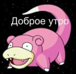 slowpoke.jpg