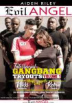 68620interracialgangbangtryoutsvolume1front400x625.jpg