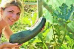 105378743-woman-sitting-in-the-garden-with-a-big-green-zucchini.jpg