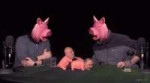 oink.jpg