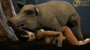 PIG14.webm