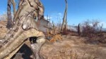 Fallout 4 11.12.2015 - 20.49.25.53.DVR.webm