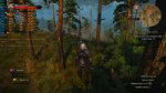 witcher32018-10-0518-25-00.jpg