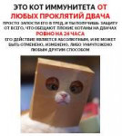 КОТАНОН.jpg