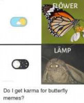 flower-lamp-u-de-do-i-get-karma-for-butterfly-36527006[1].png